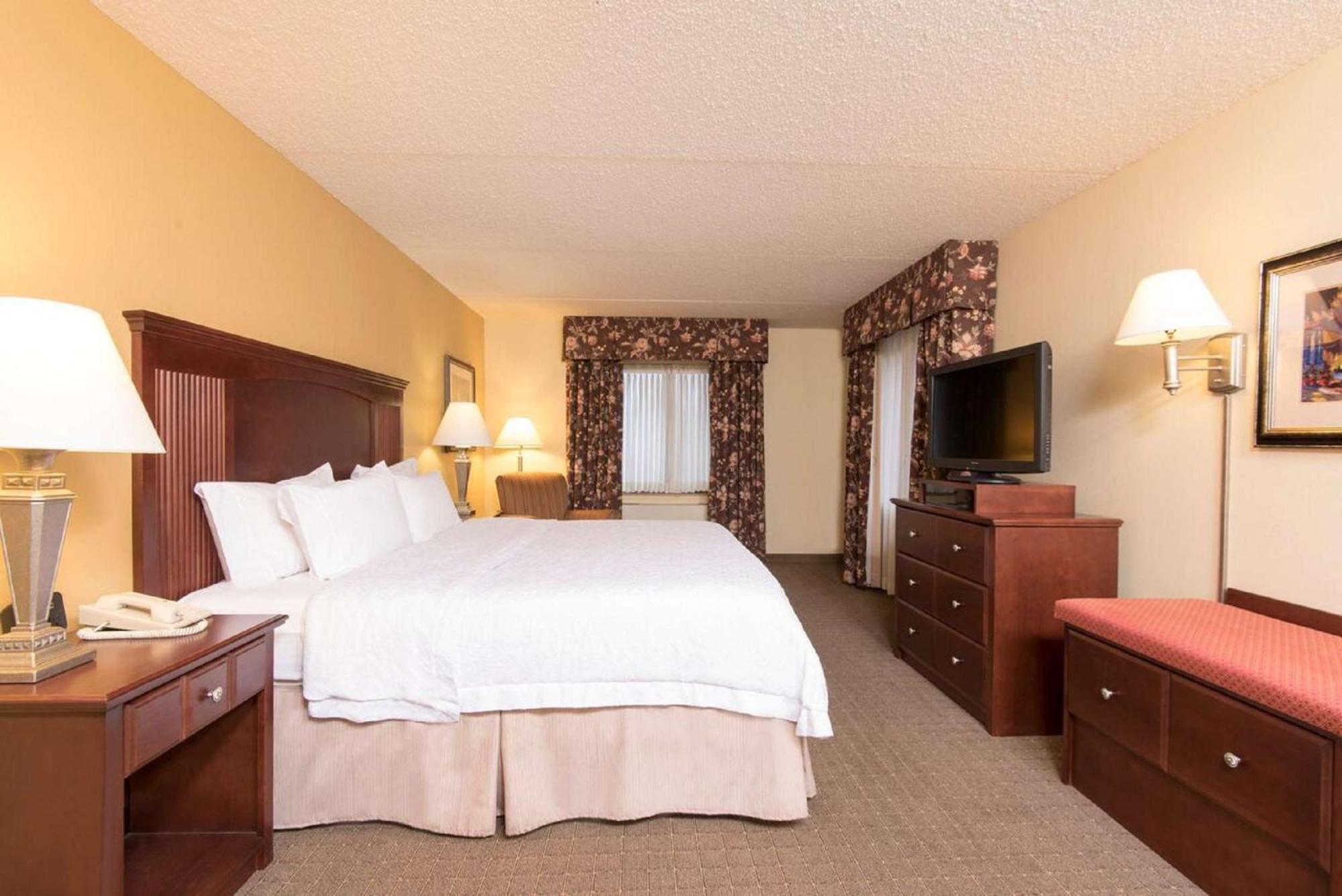 Hampton Inn Schenectady Downtown Exterior foto