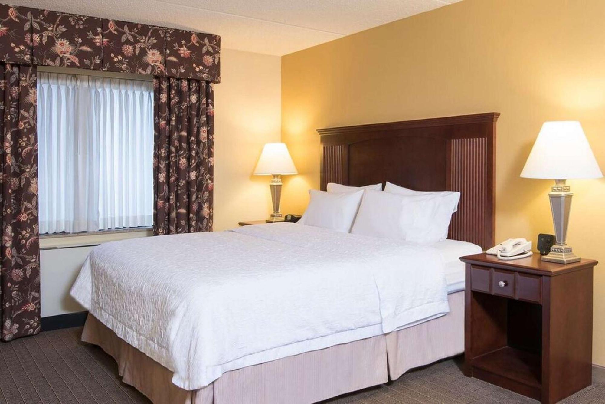 Hampton Inn Schenectady Downtown Exterior foto