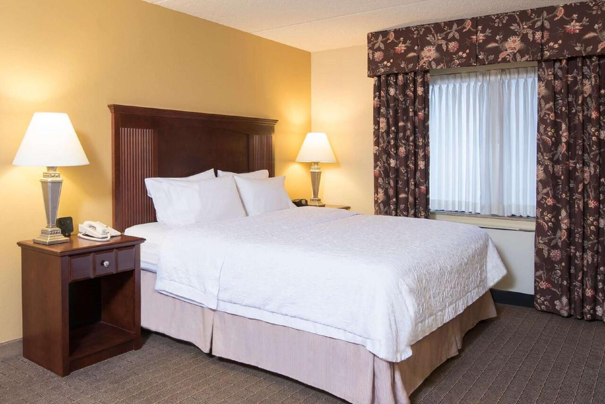 Hampton Inn Schenectady Downtown Exterior foto
